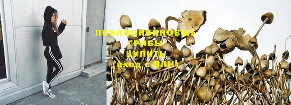 герыч Балахна